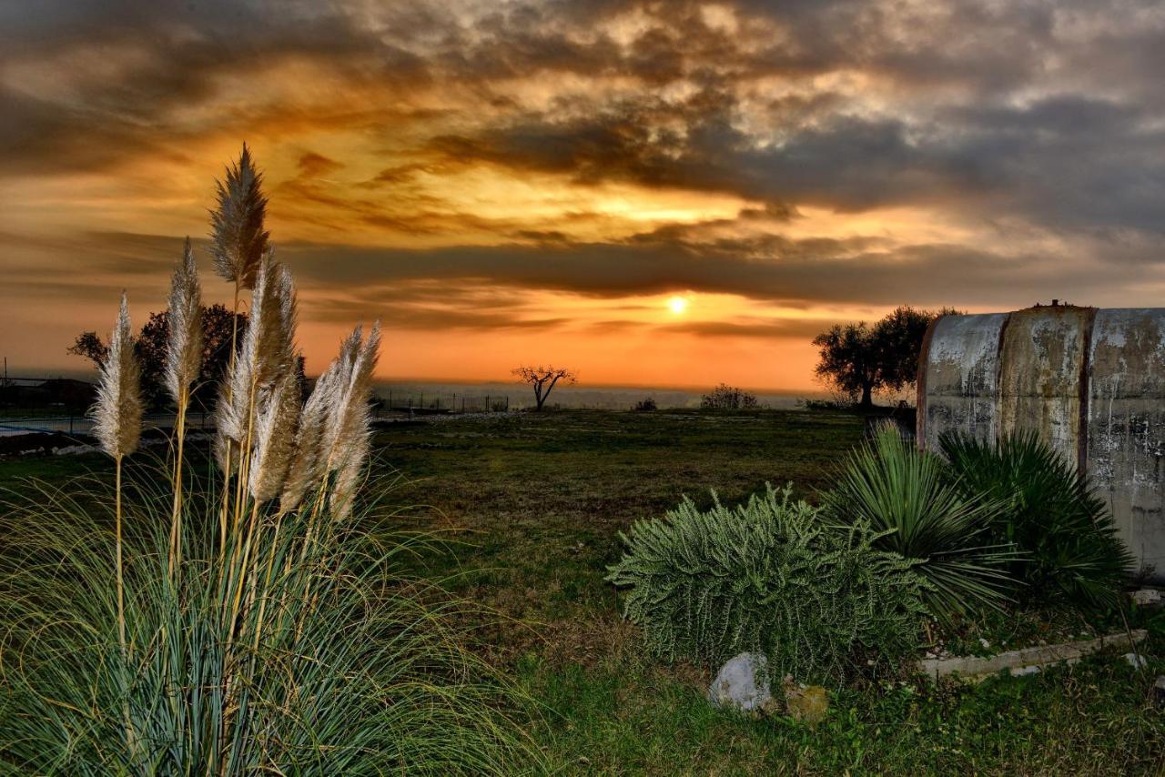 Agriturismo La Guarda Picedo Екстер'єр фото