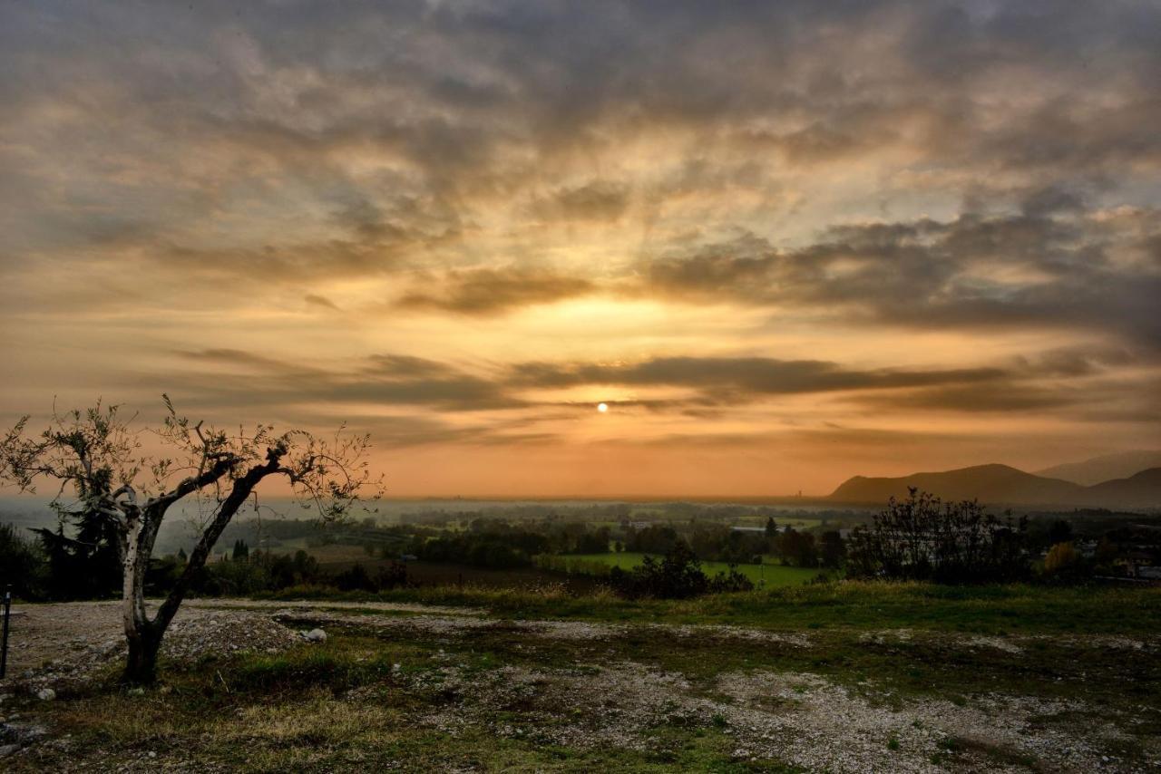 Agriturismo La Guarda Picedo Екстер'єр фото