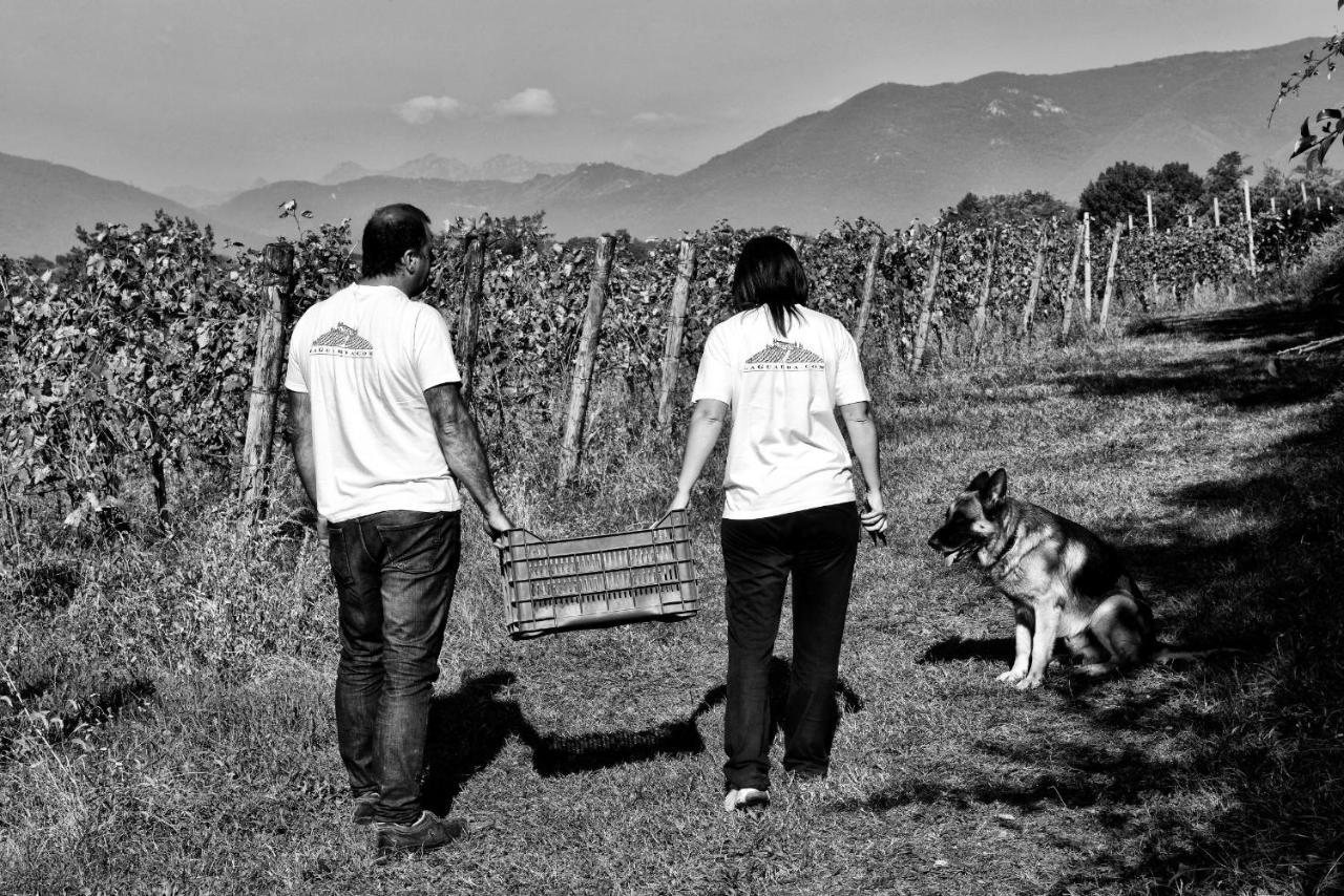 Agriturismo La Guarda Picedo Екстер'єр фото