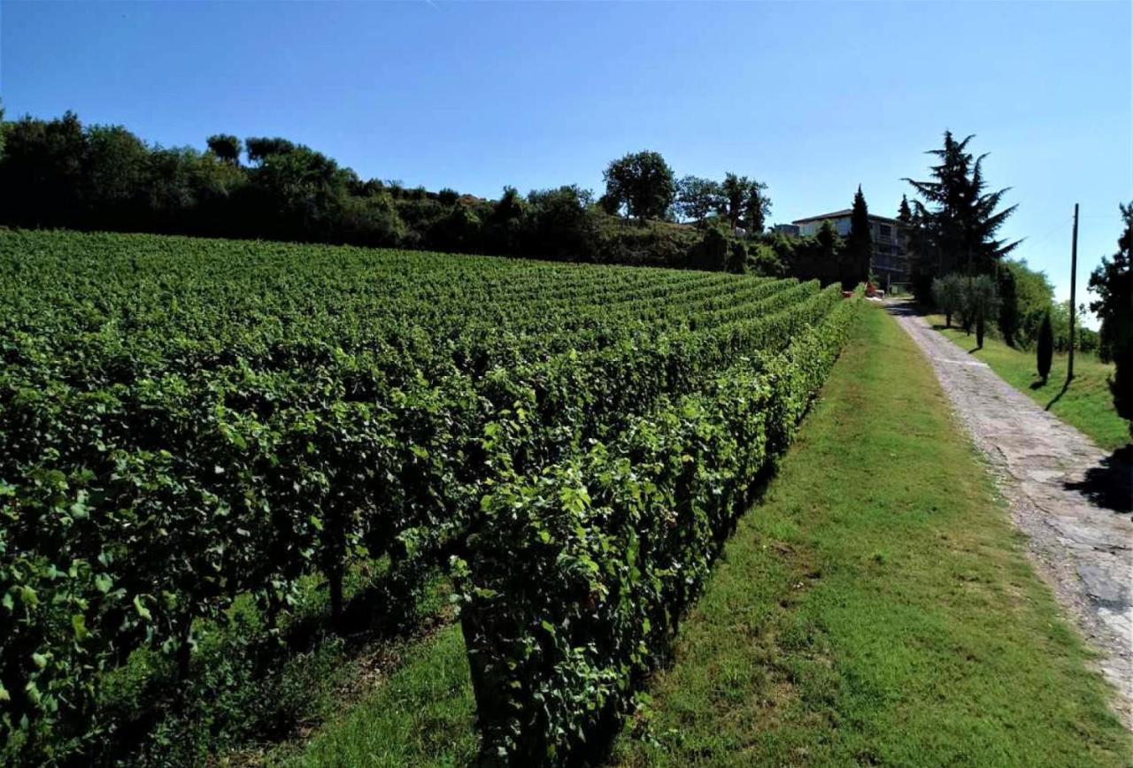 Agriturismo La Guarda Picedo Екстер'єр фото